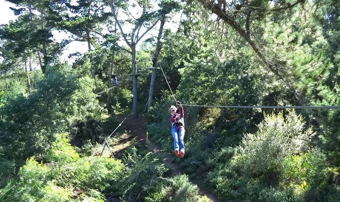 Acrobranch Garden Route — photo 1 of 5